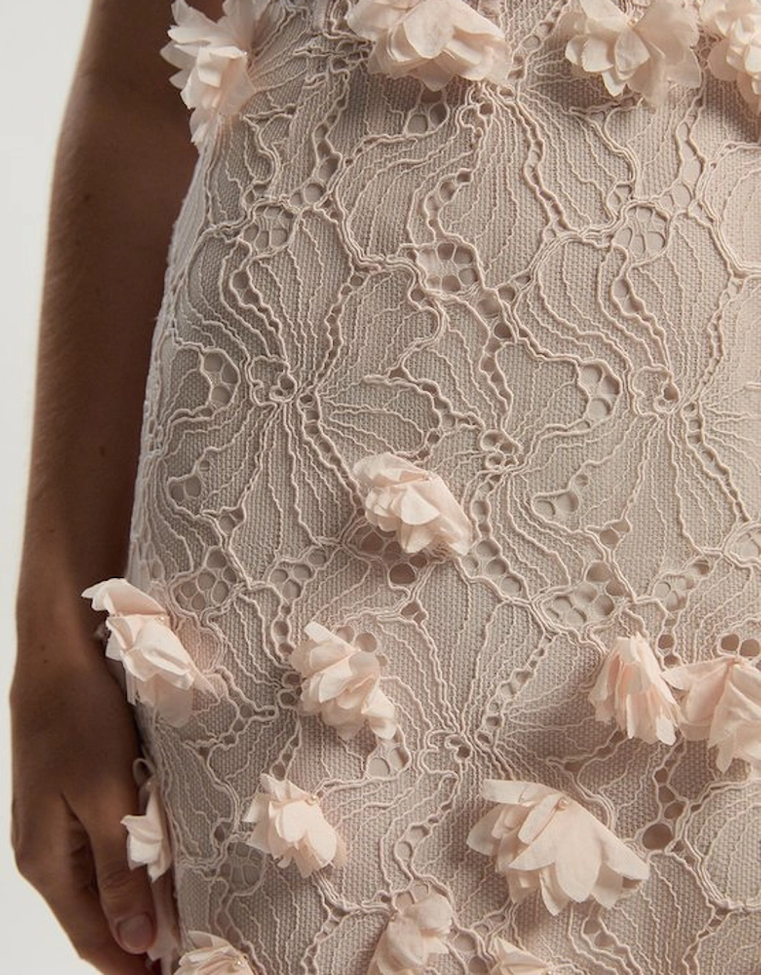 Applique Lace Corset Woven Mini Dress