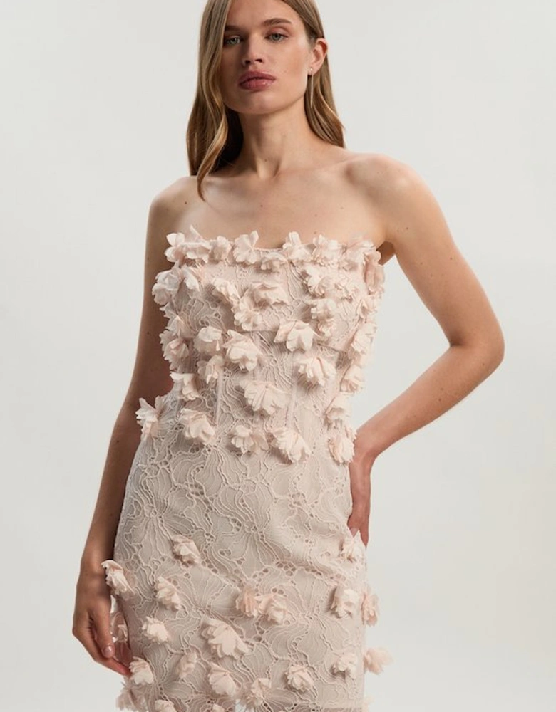 Applique Lace Corset Woven Mini Dress