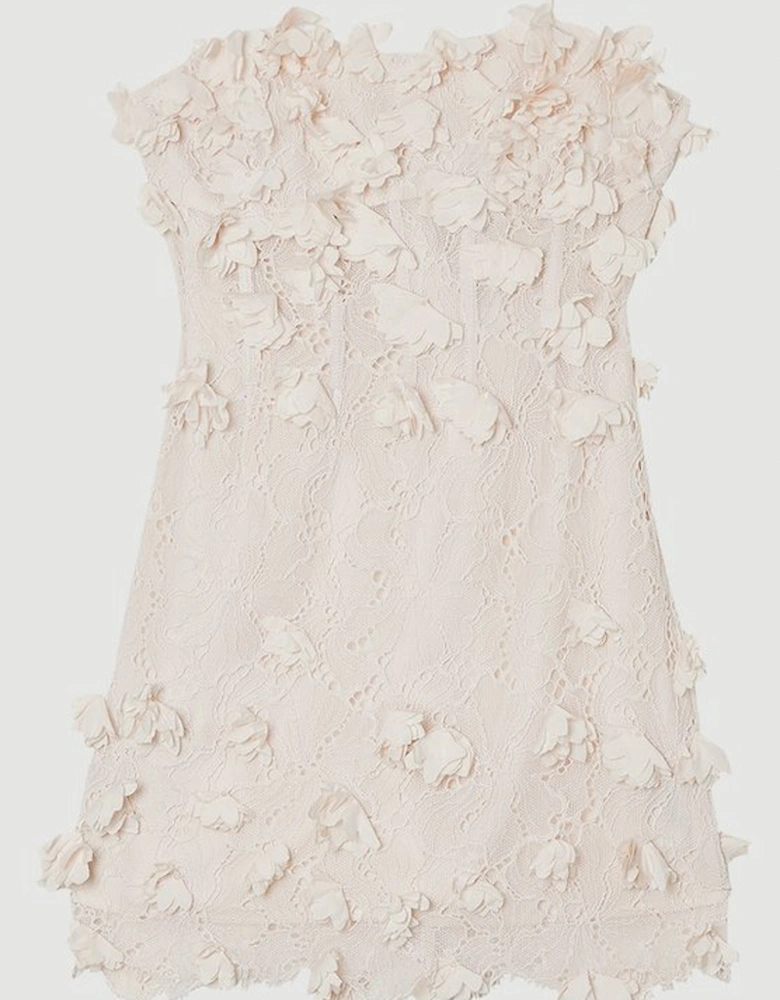 Applique Lace Corset Woven Mini Dress