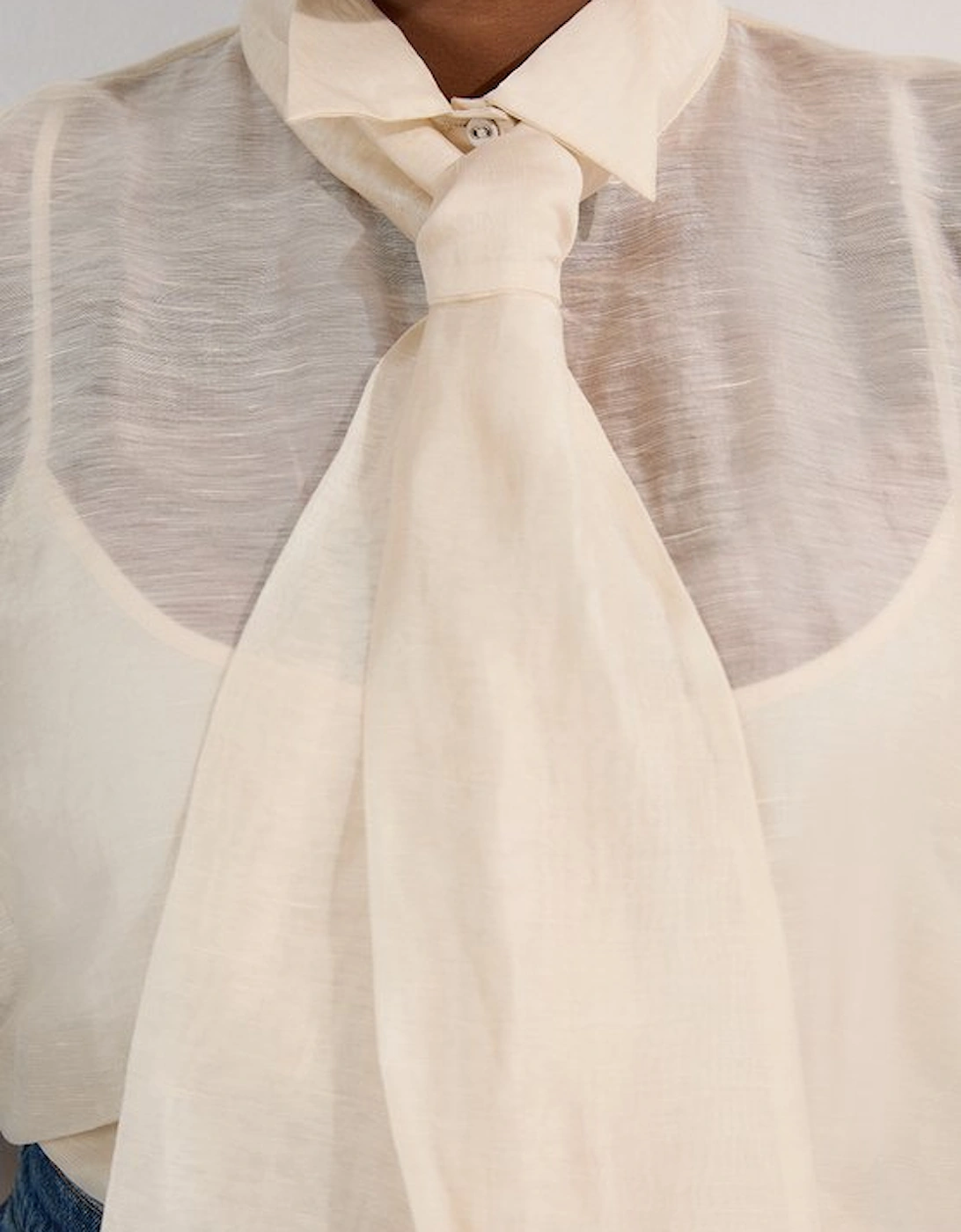 Plus Size Organdie Tie Neck Woven Shirt