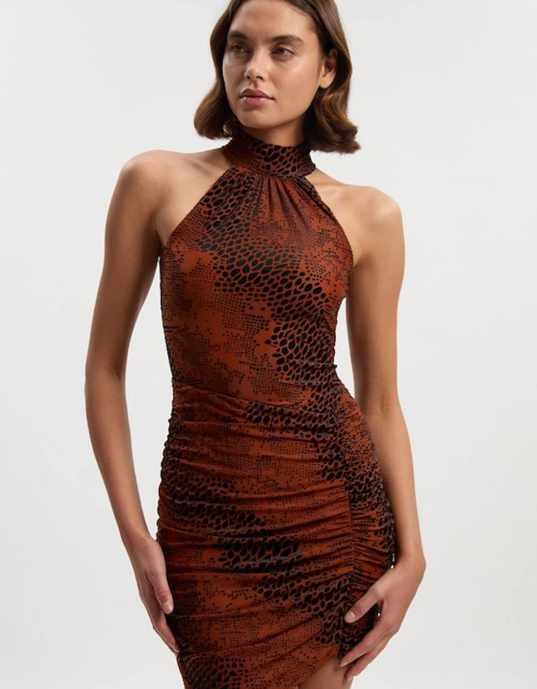 Animal Stretch Velvet Devore Halter Neck Mini Dress