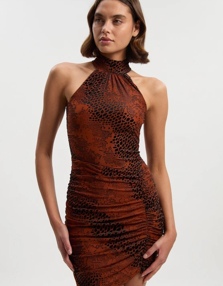 Tall Animal Stretch Velvet Devore Halter Neck Mini Dress