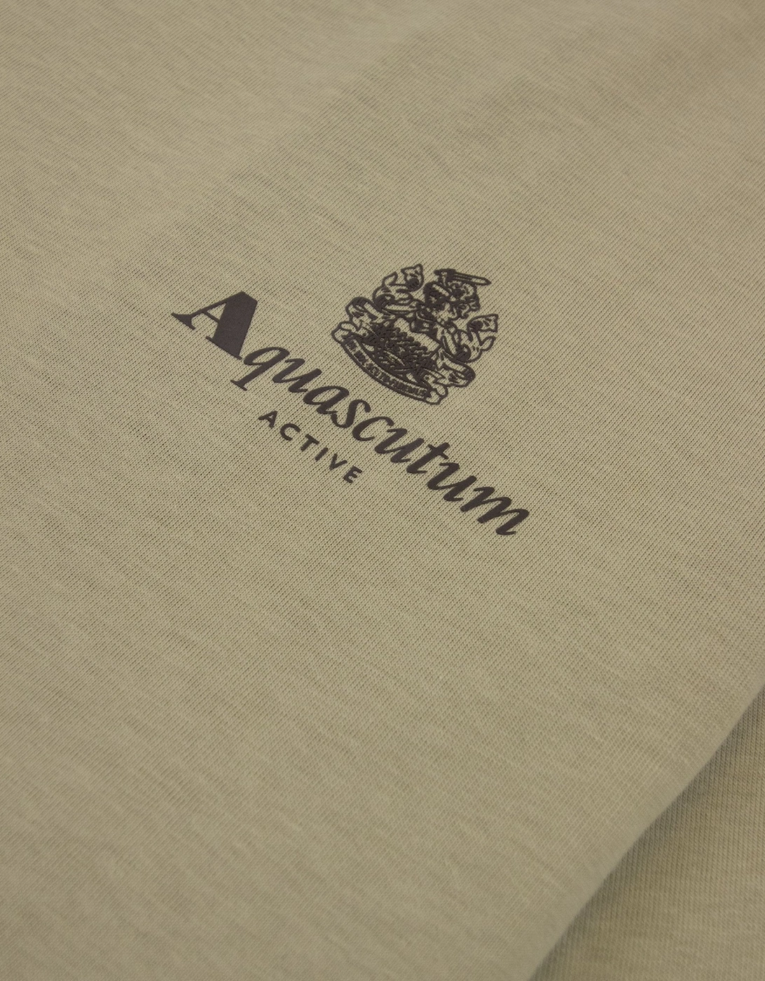 Active Small Logo T Shirt Beige