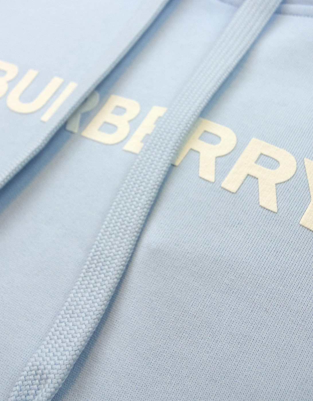 Logo Print Cotton Hoodied Sweatshirt Pale Blue