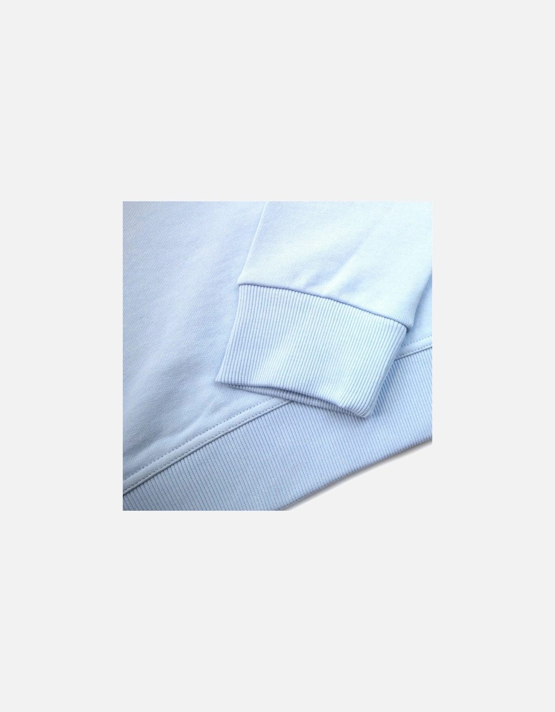 Logo Print Cotton Hoodied Sweatshirt Pale Blue