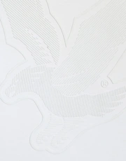 Thumbnail 6 of 6