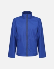 Royal Blue/Black