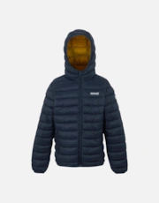 Navy/Gold
