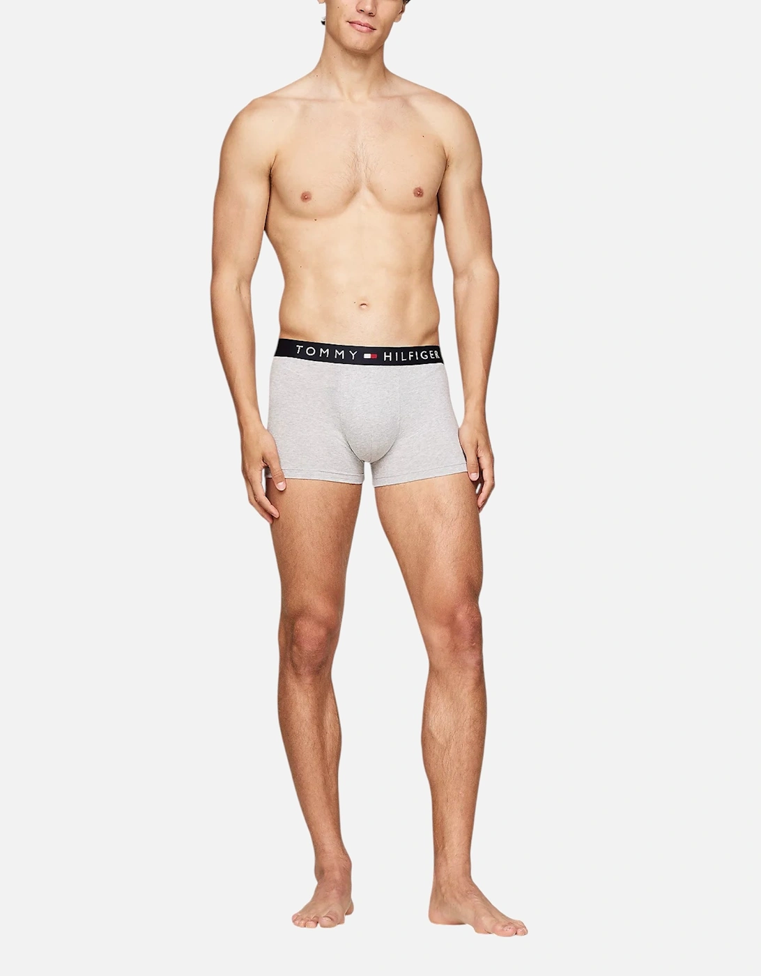 Mens Underwear 3 Pack Trunks Grey