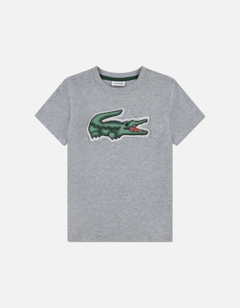 BOYS GREY T SHIRT 847072
