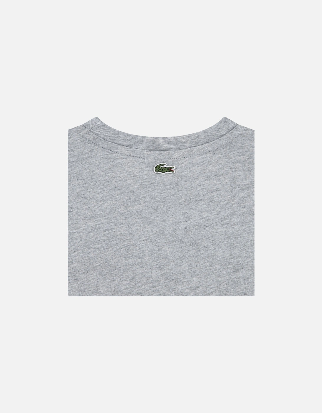 BOYS GREY T SHIRT 847072
