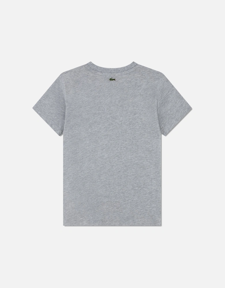 BOYS GREY T SHIRT 847072