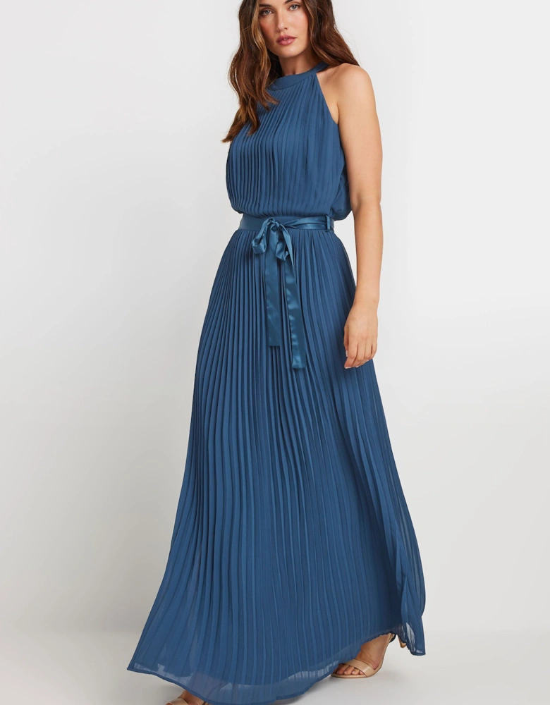 Tall Pleated Maxi Dress
