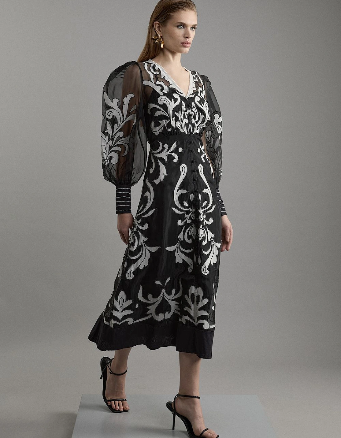 Tall Applique Organdie Buttoned Woven Maxi Dress, 2 of 1