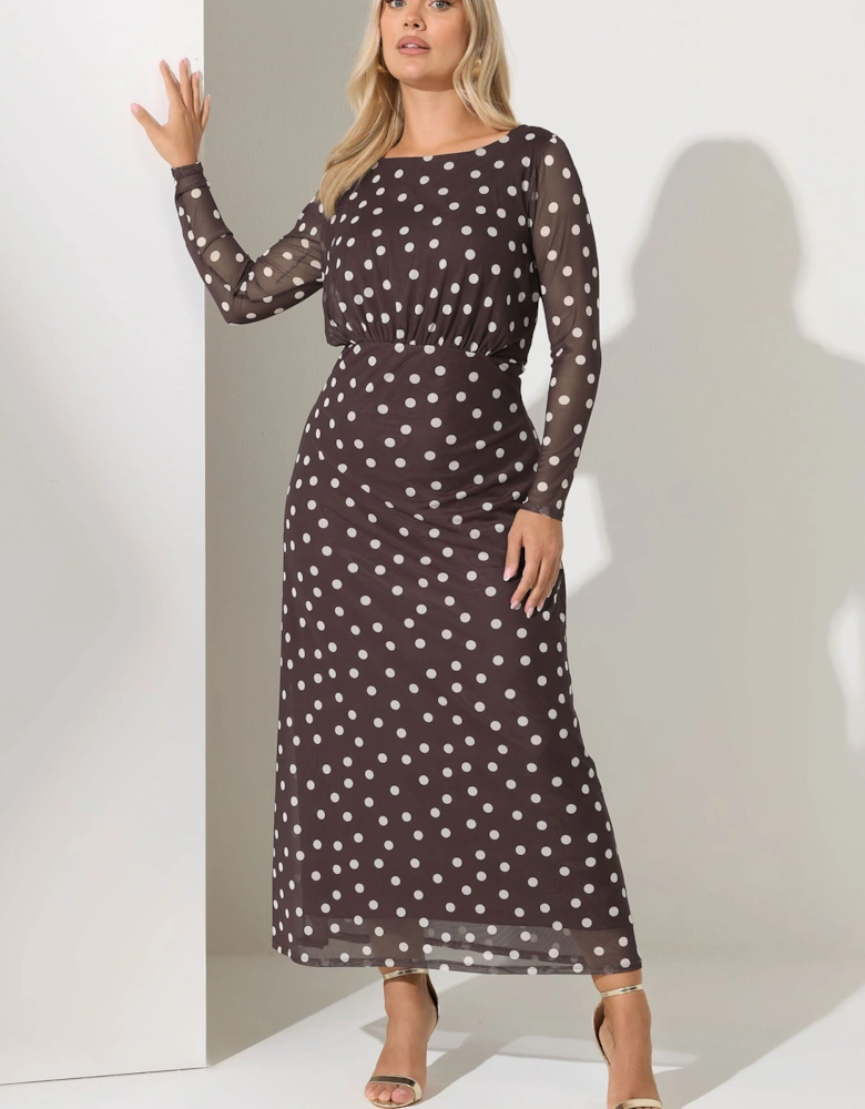 Polka Dot Mesh Maxi Dress