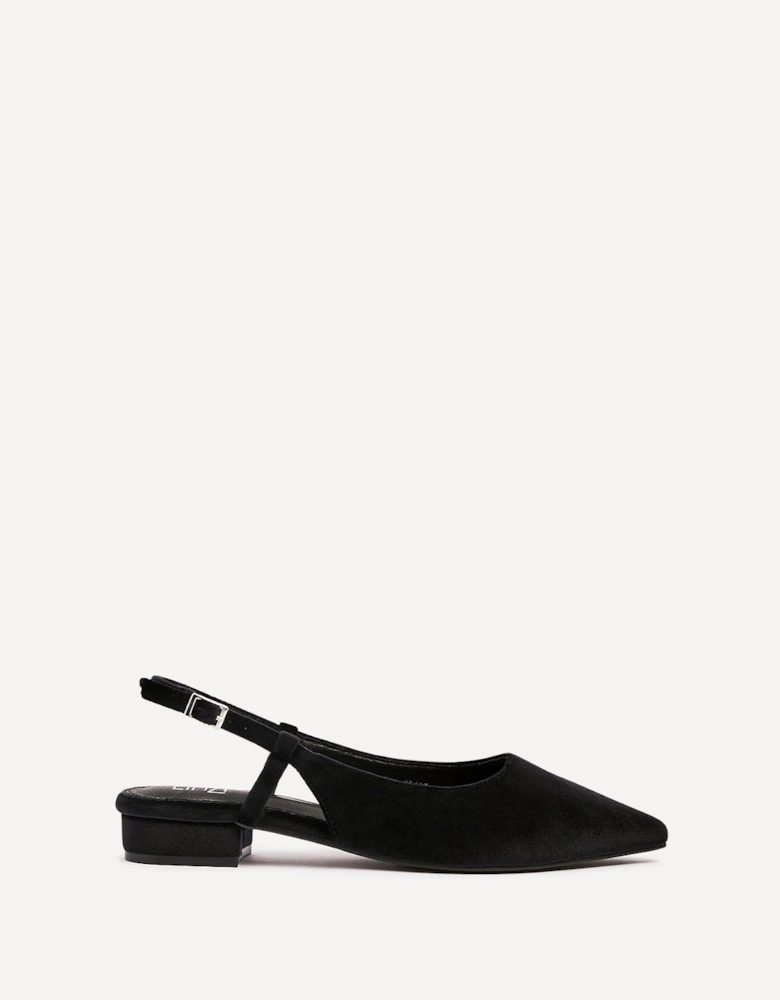 Clasica Black Velvet Pointed Toe Ballet Flat