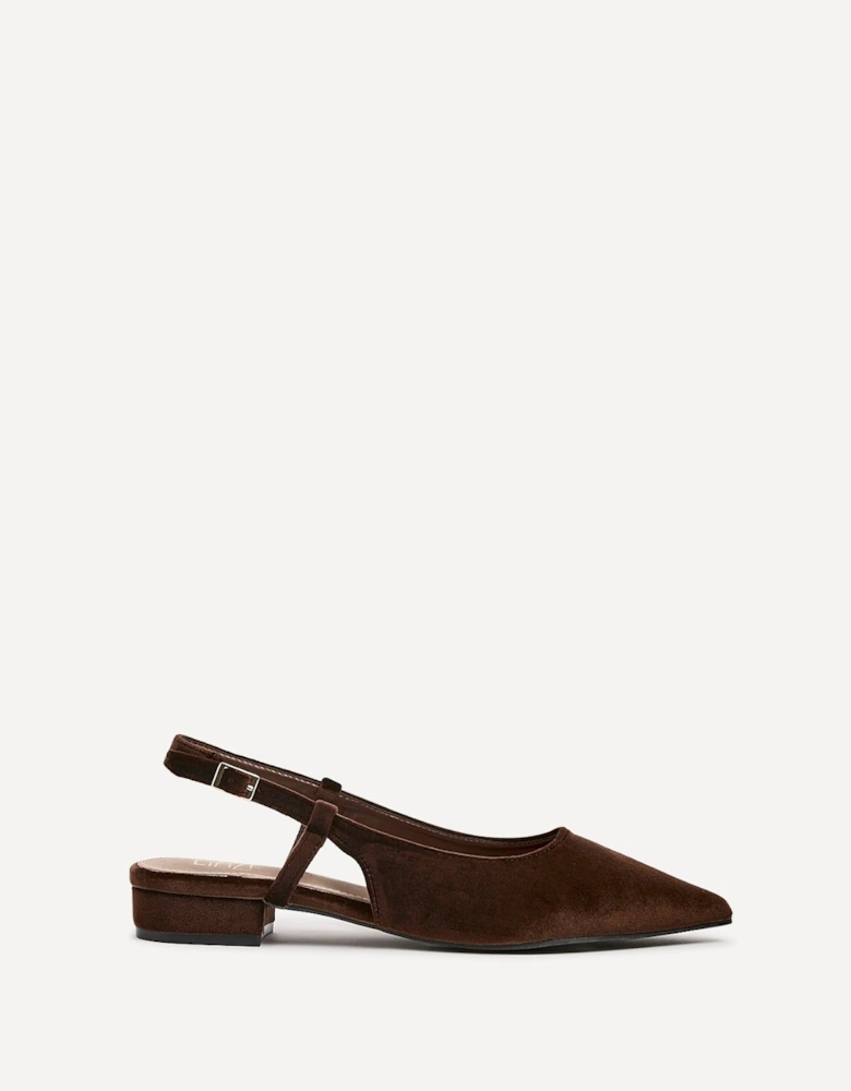 Clasica Brown Velvet Pointed Toe Ballet Flat