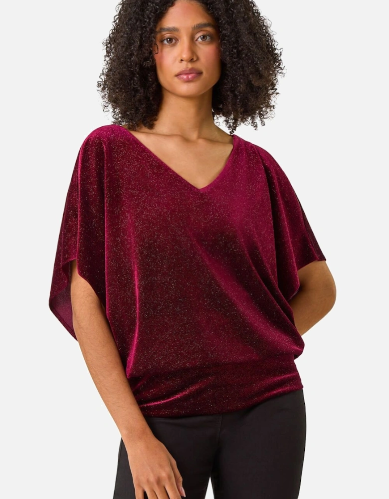 Glitter Velvet Banded Hem Stretch Top