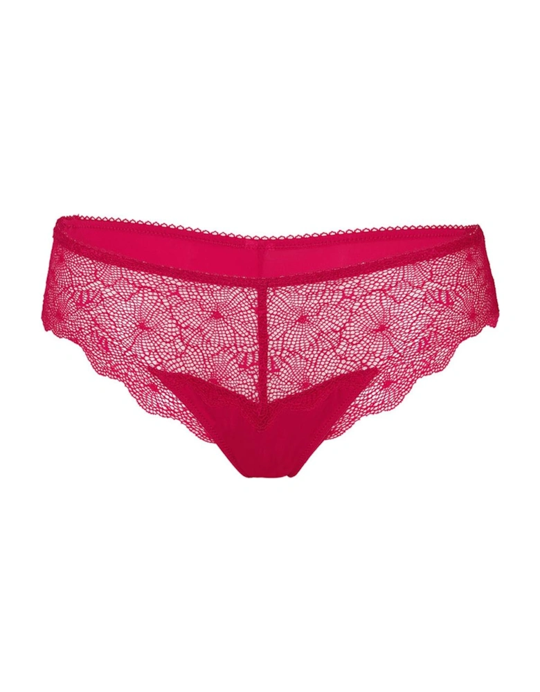 Brazilian Brief