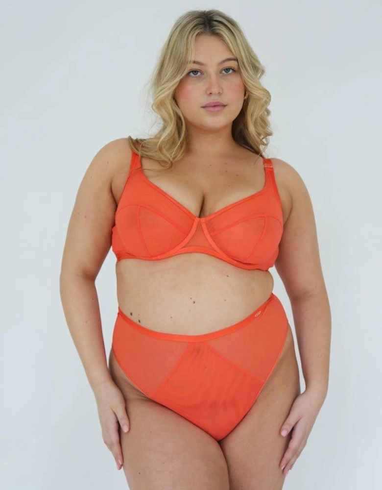 Soft Mesh Control High Waist Brief