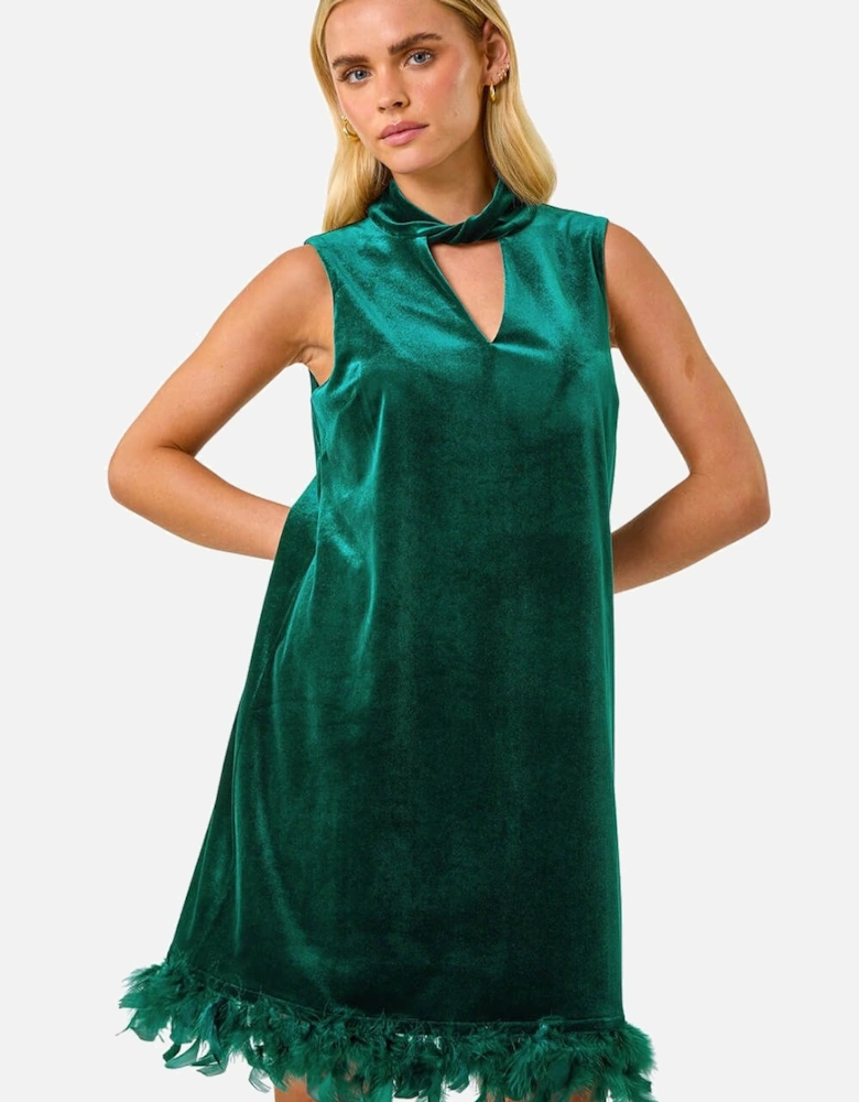 Petite Velvet Feather Hem Dress