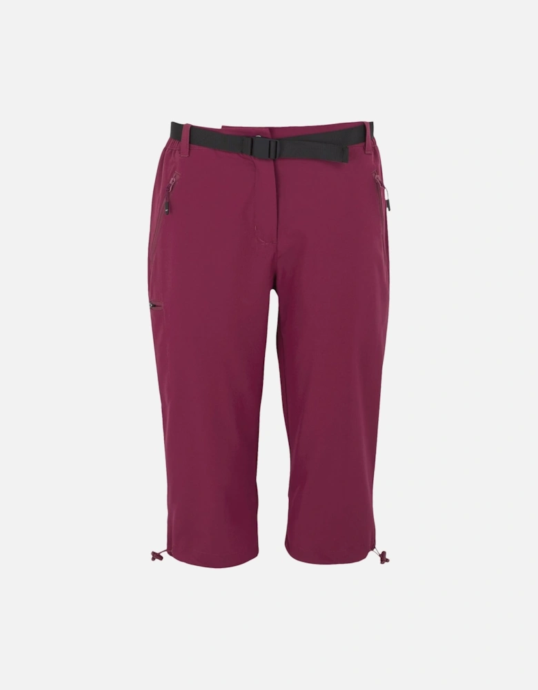 Womens/Ladies Xert Stretch Casual Shorts