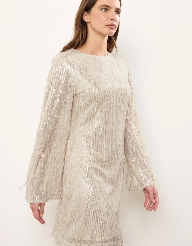 Sequin Tassel Dress