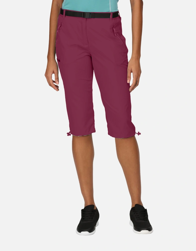 Womens/Ladies Xert Stretch Casual Shorts