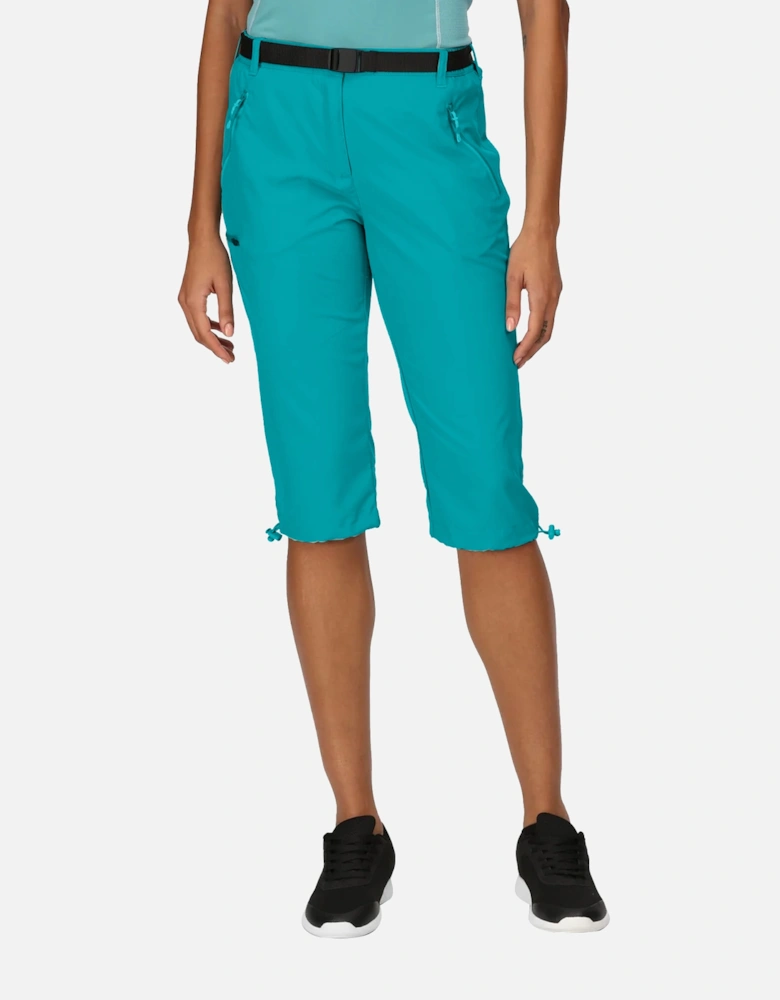 Womens/Ladies Xert Stretch Casual Shorts