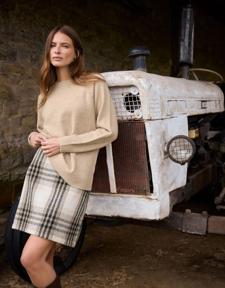 Check A-Line Skirt