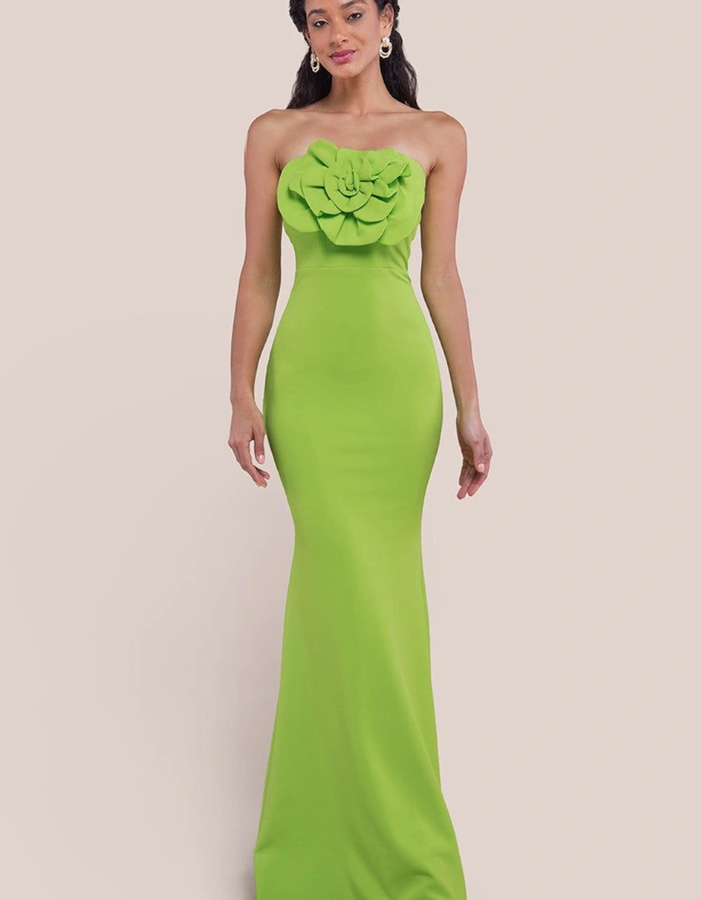 Scuba Crepe Bandeau Rose Maxi Dress