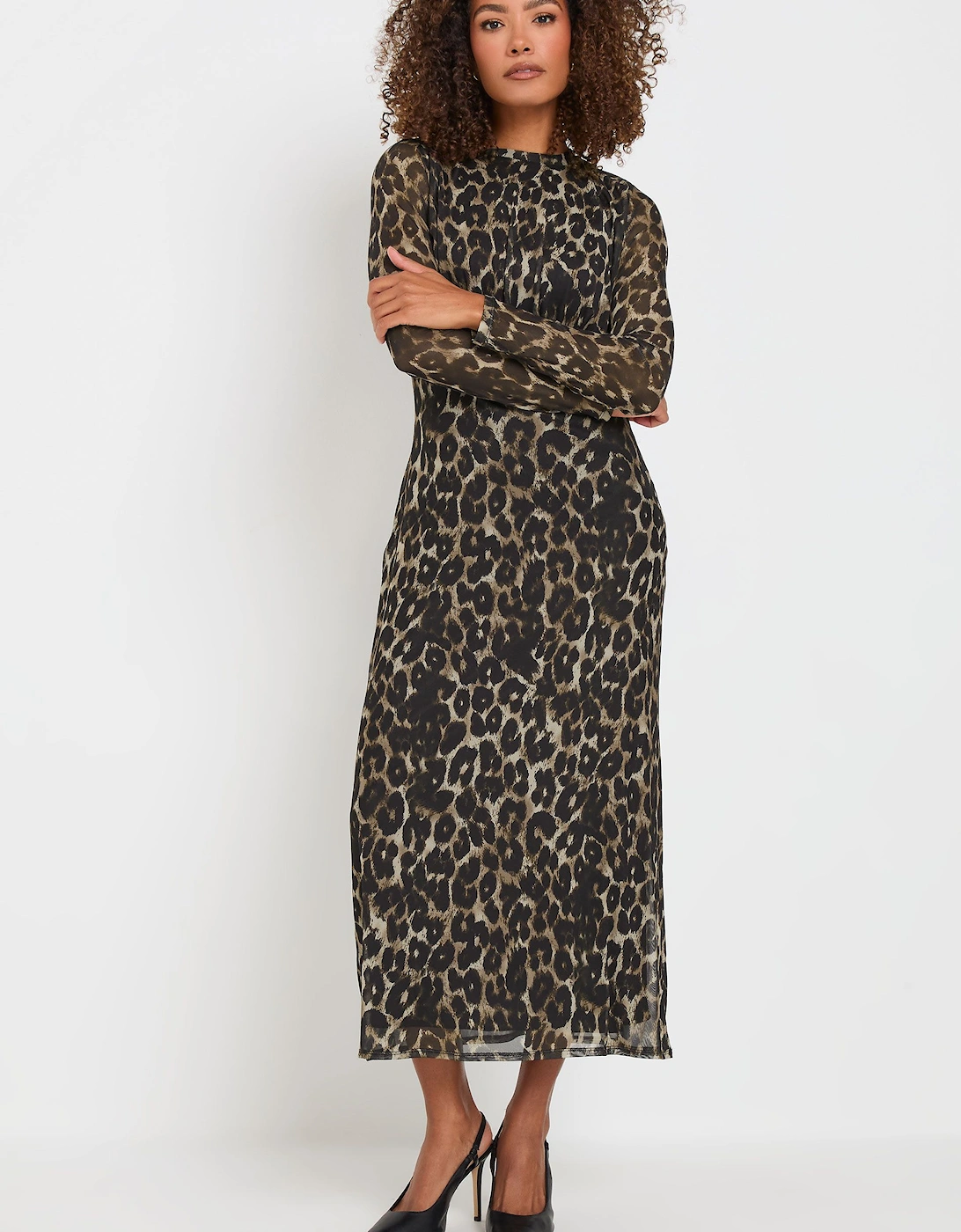 Women's Mesh Animal Print Dress, 2 of 1