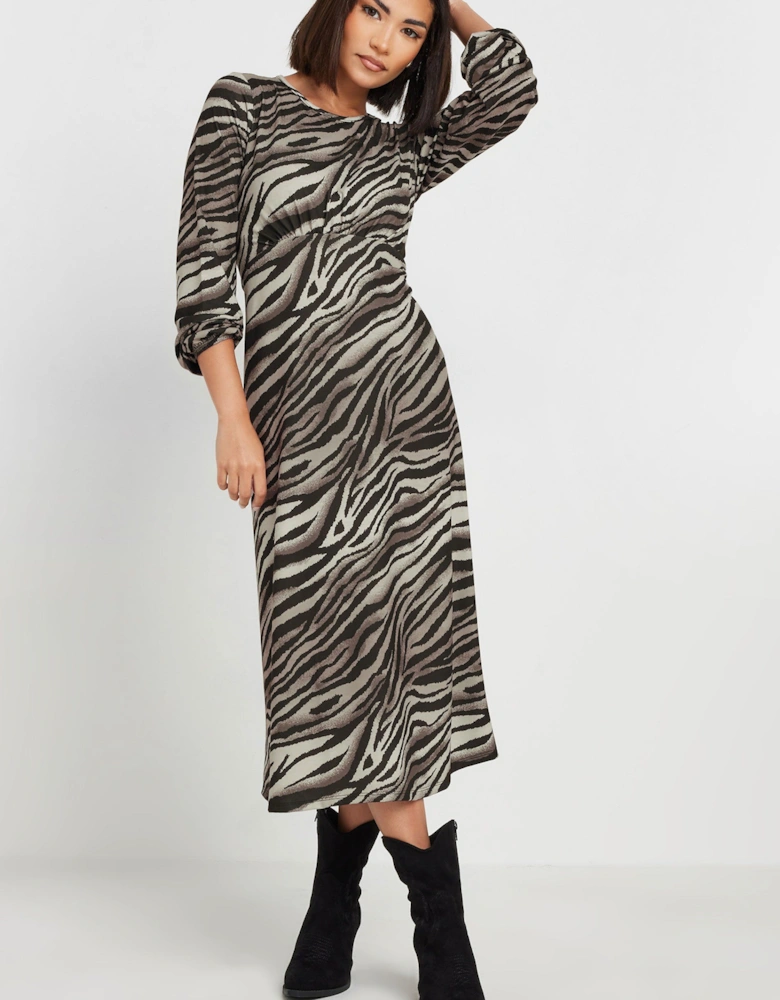 Petite Zebra Print Dress