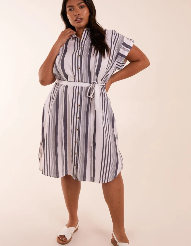 Curve Stripe Button Front Shirt Dress