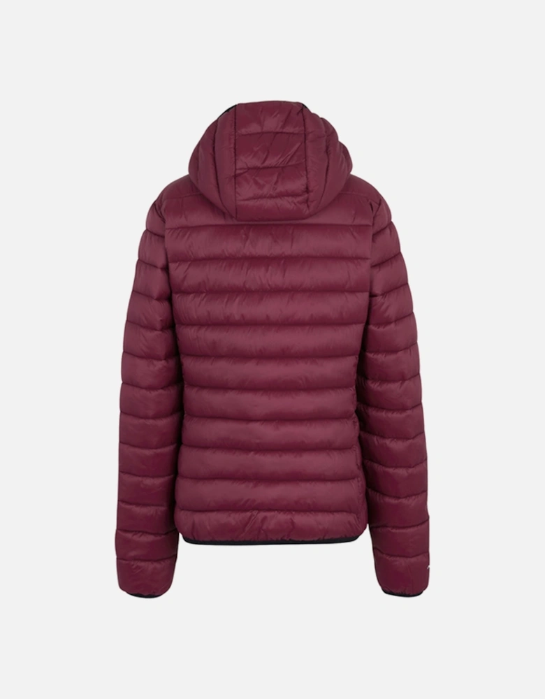 Womens/Ladies Marizion Hooded Padded Jacket