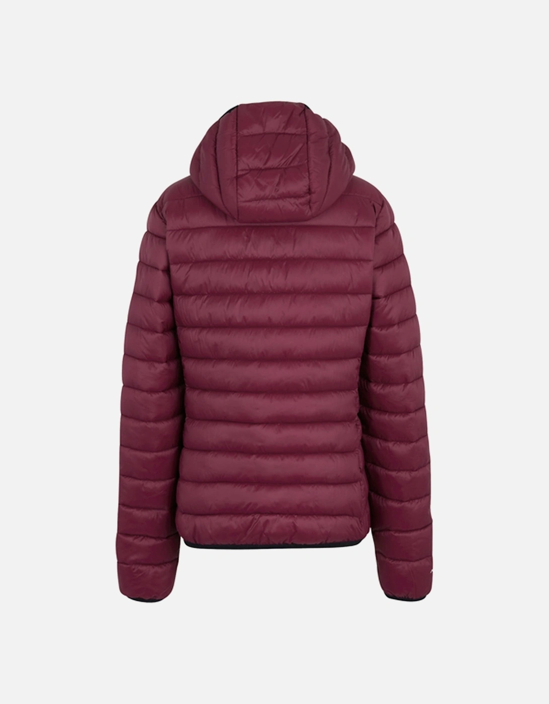 Womens/Ladies Marizion Hooded Padded Jacket