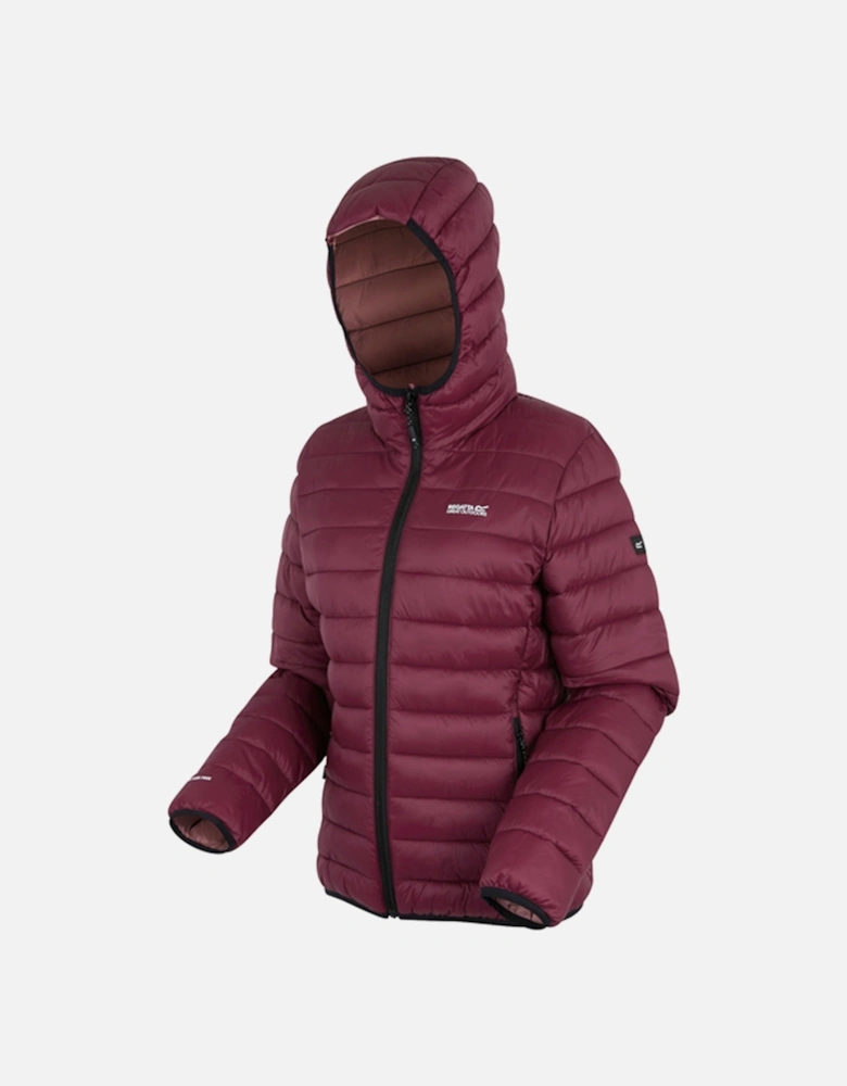 Womens/Ladies Marizion Hooded Padded Jacket