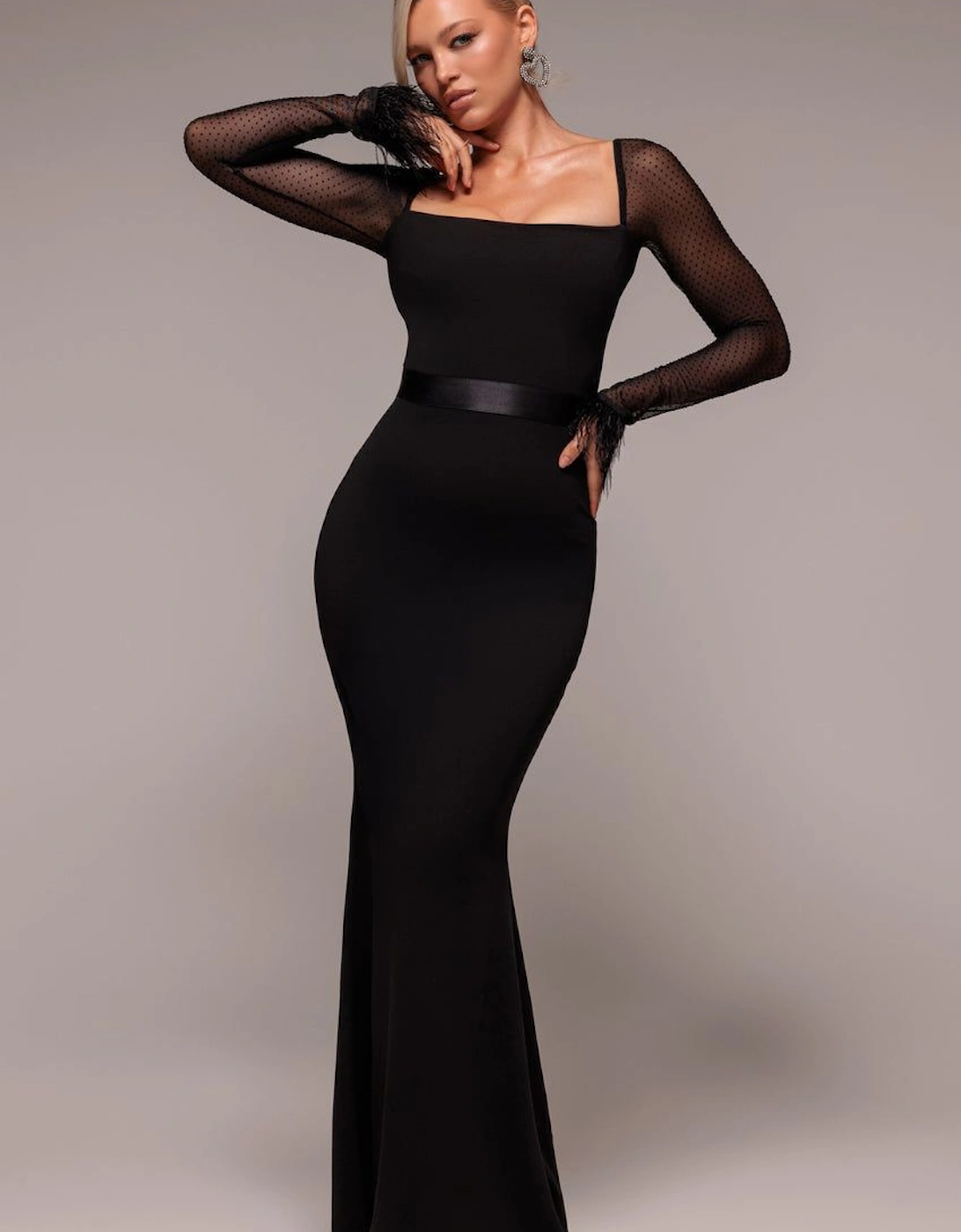 Dobby Mesh Feather Sleeve Evening Maxi Dress, 2 of 1