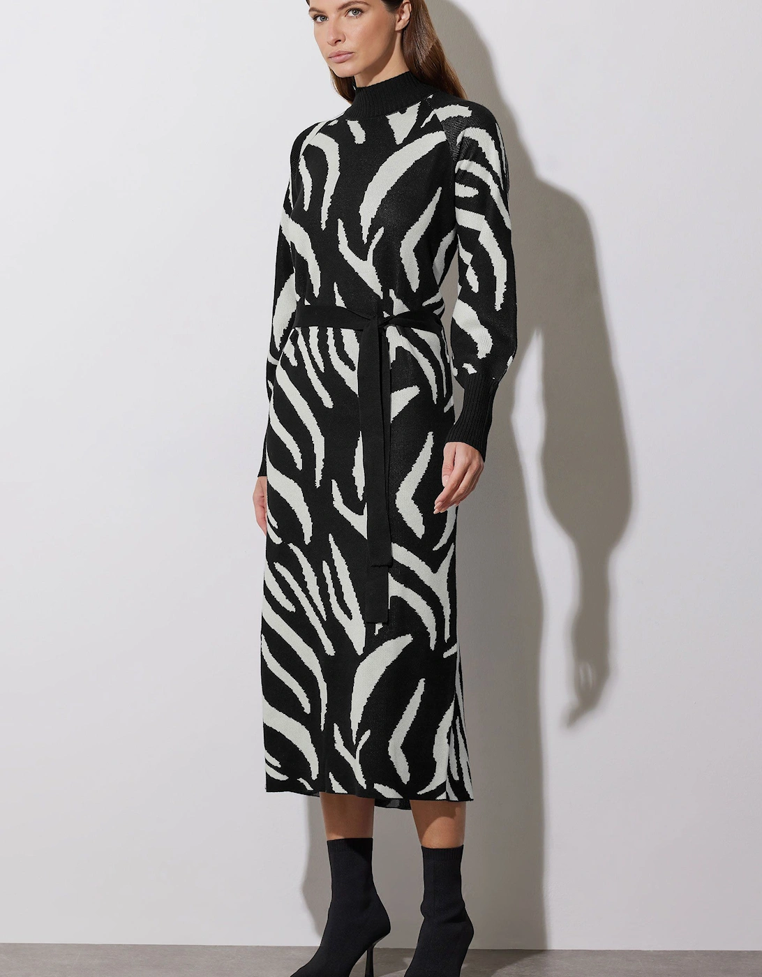 Zebra Jumper Dress, 2 of 1