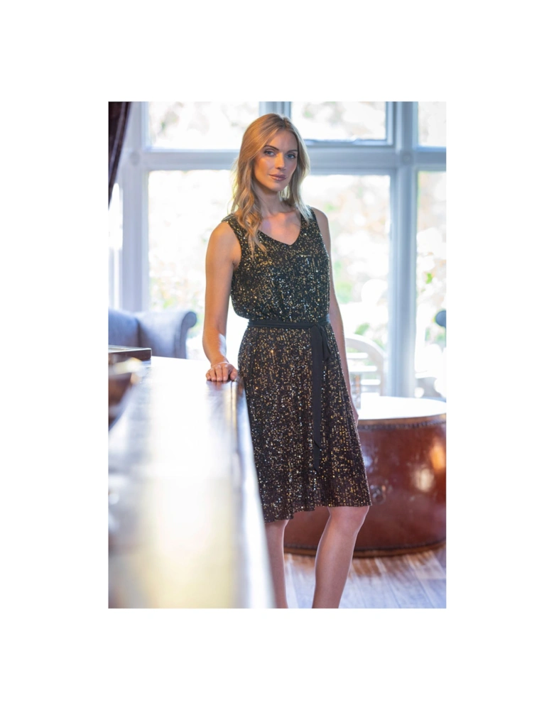 Sequinned Mesh Shift Dress