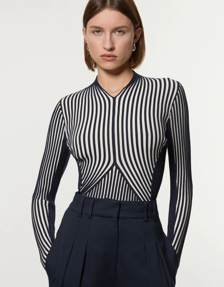 Petite Stripe Fitted Long Sleeve Knitted Top