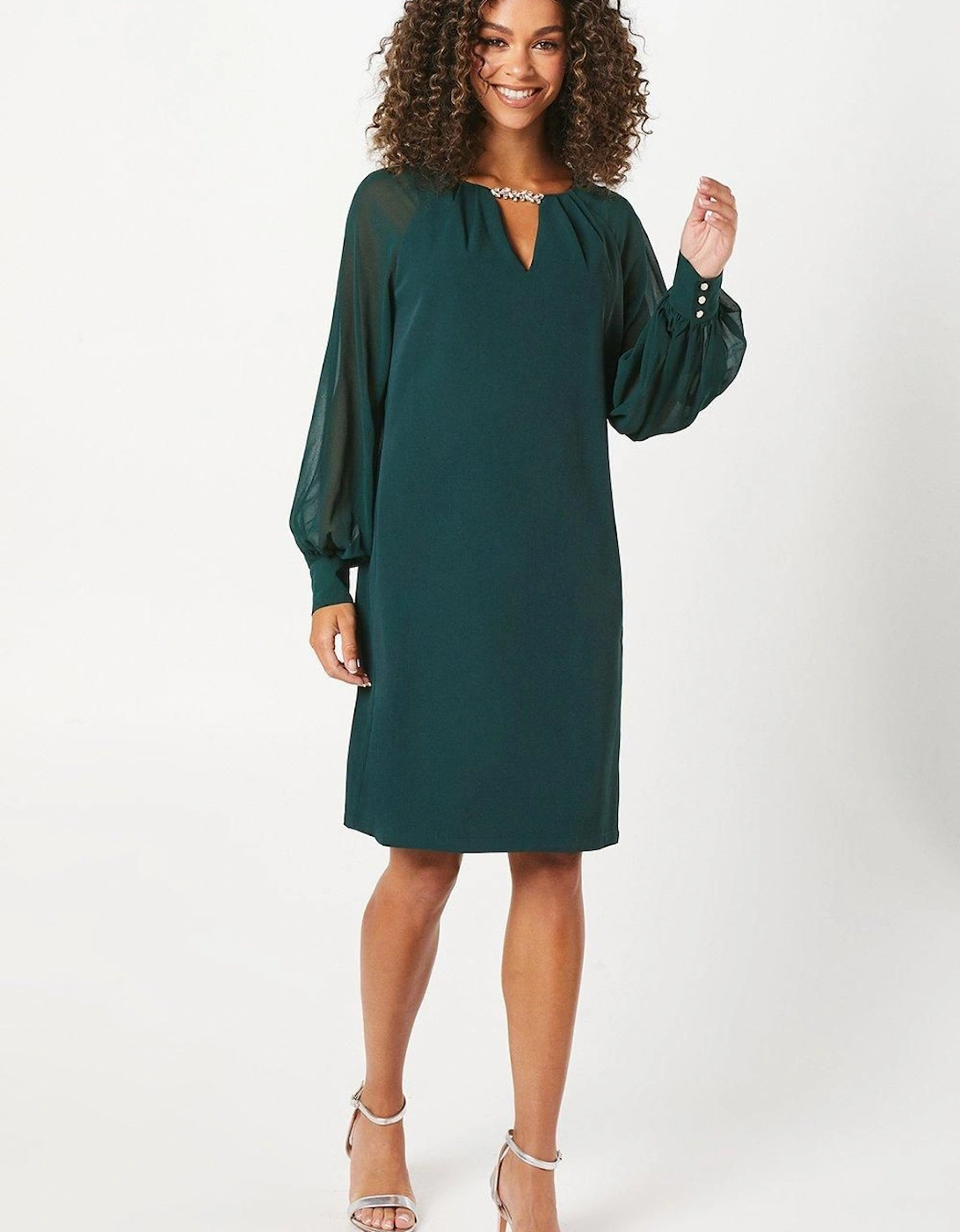 Occasion Embellished Sequin Chiffon Sleeve Shift Dress, 2 of 1