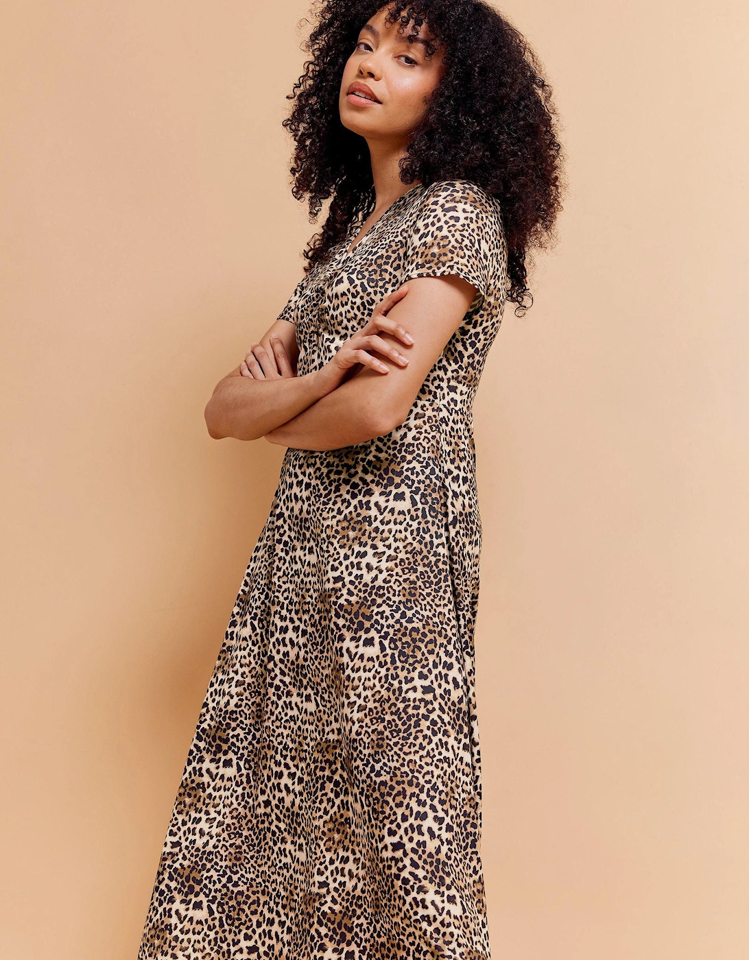 Animal Print V-Neck Dress, 2 of 1