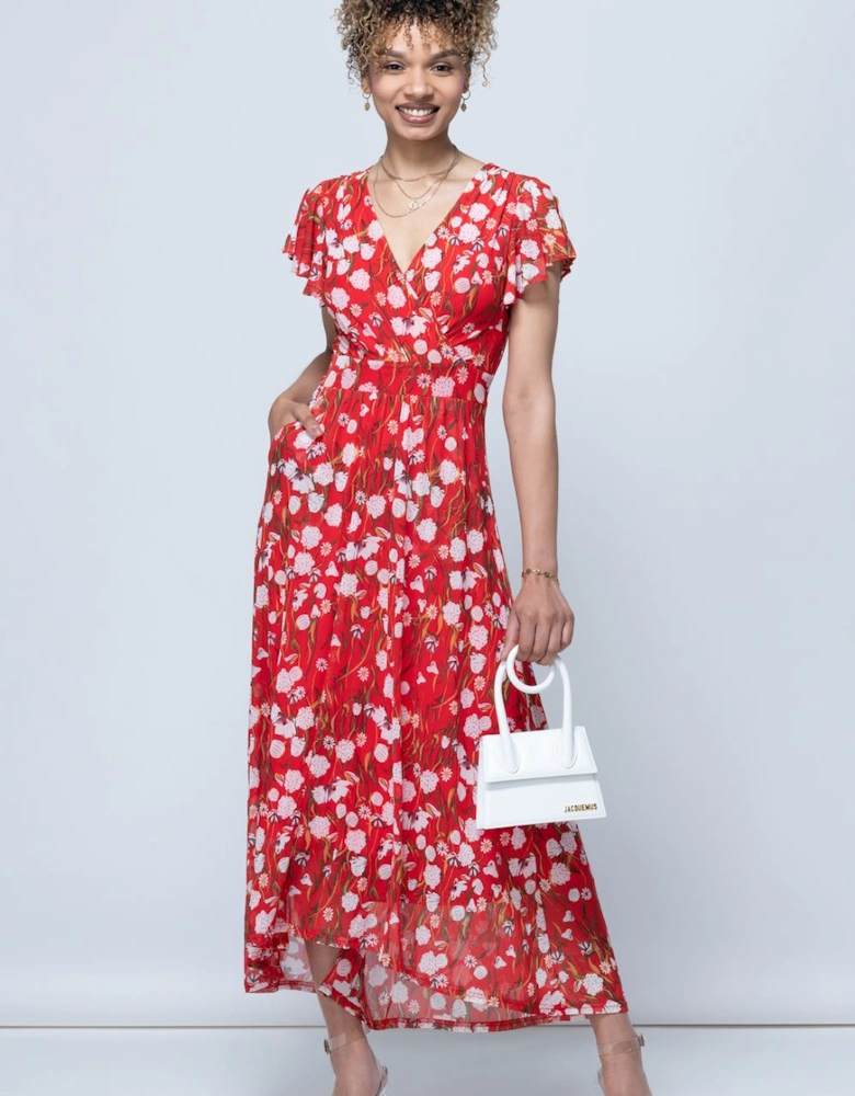 Rachele Floral Pint Mesh Maxi Dress