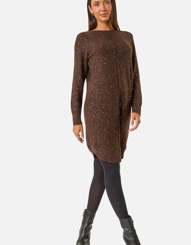 Sequin Embellished Stretch Jumper Dress