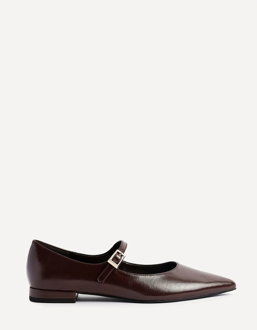 Seattle Brown Faux Leather Pointed Toe Mary Jane Flats, 2 of 1