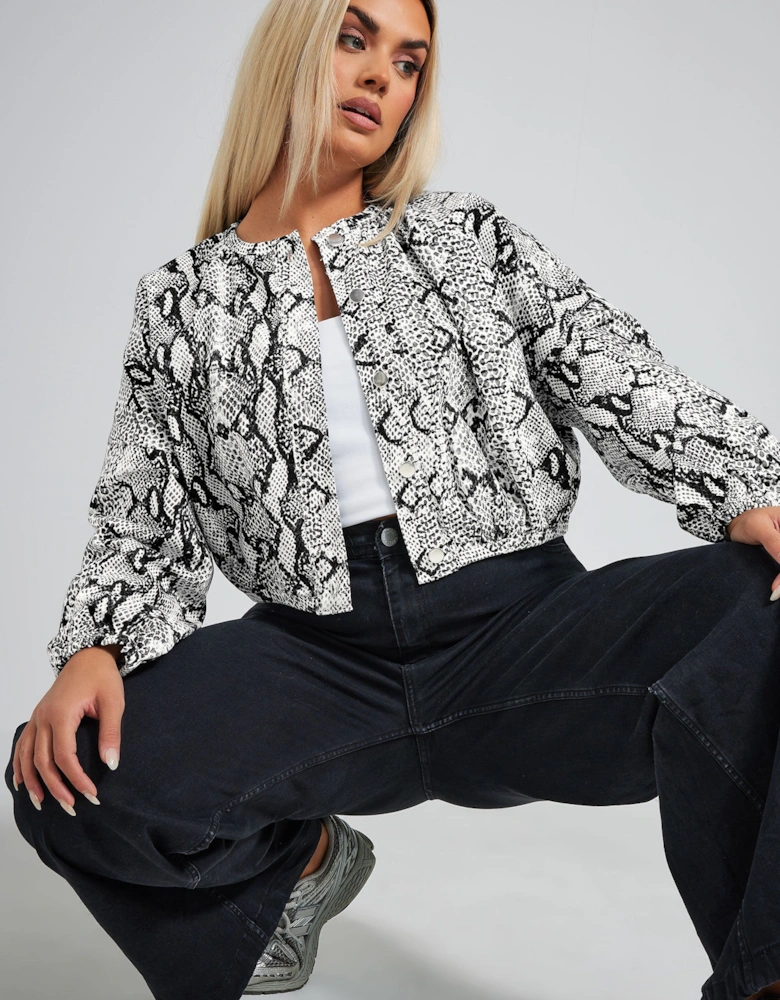 Cropped Denim Jacket