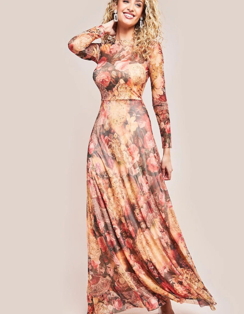 Printed Soft Mesh A Line Maxi Dress