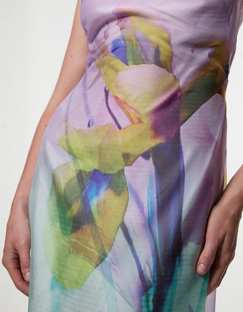 Petite Digital Ophelia Floral Organdie High Neck Maxi Dress