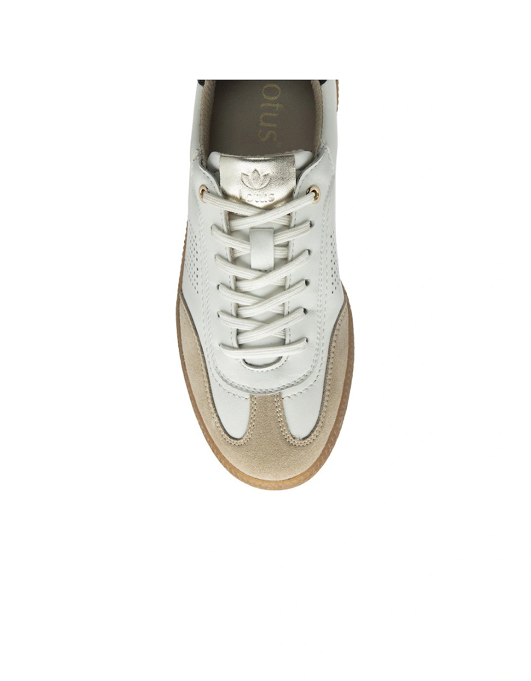 Frapporta Womens Trainers